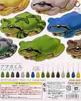 Adam Binder 動物　カエル【750個限定】 Amazon.co.jp: 金蟾 財を集めるカエル (キンセン/ゼニガエル) 三